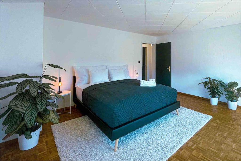 -The Urbanist- Mountainview Parking Garden 3Bd Villa Unterseen Exterior photo